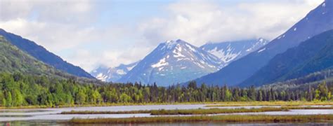 kenai clarion